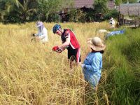 siamsmiletravel-cycling Koh Klang